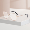 Optical Glasses Frame RM220201
