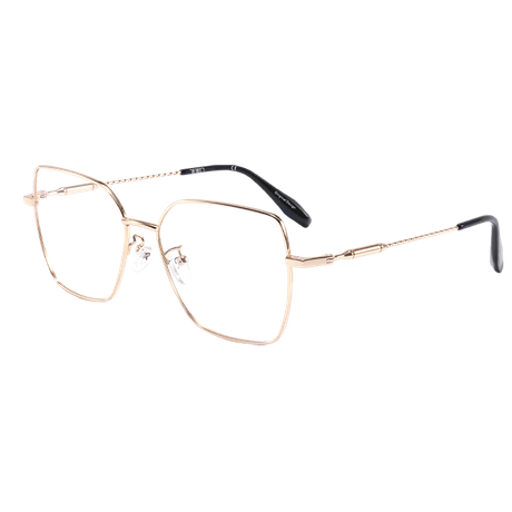 Optical Glasses Frame RM220201